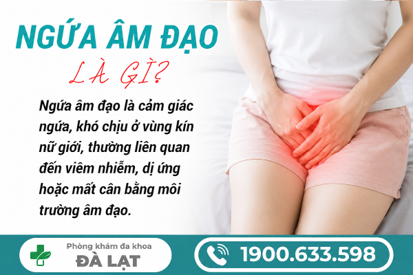 Hình ảnh minh họa